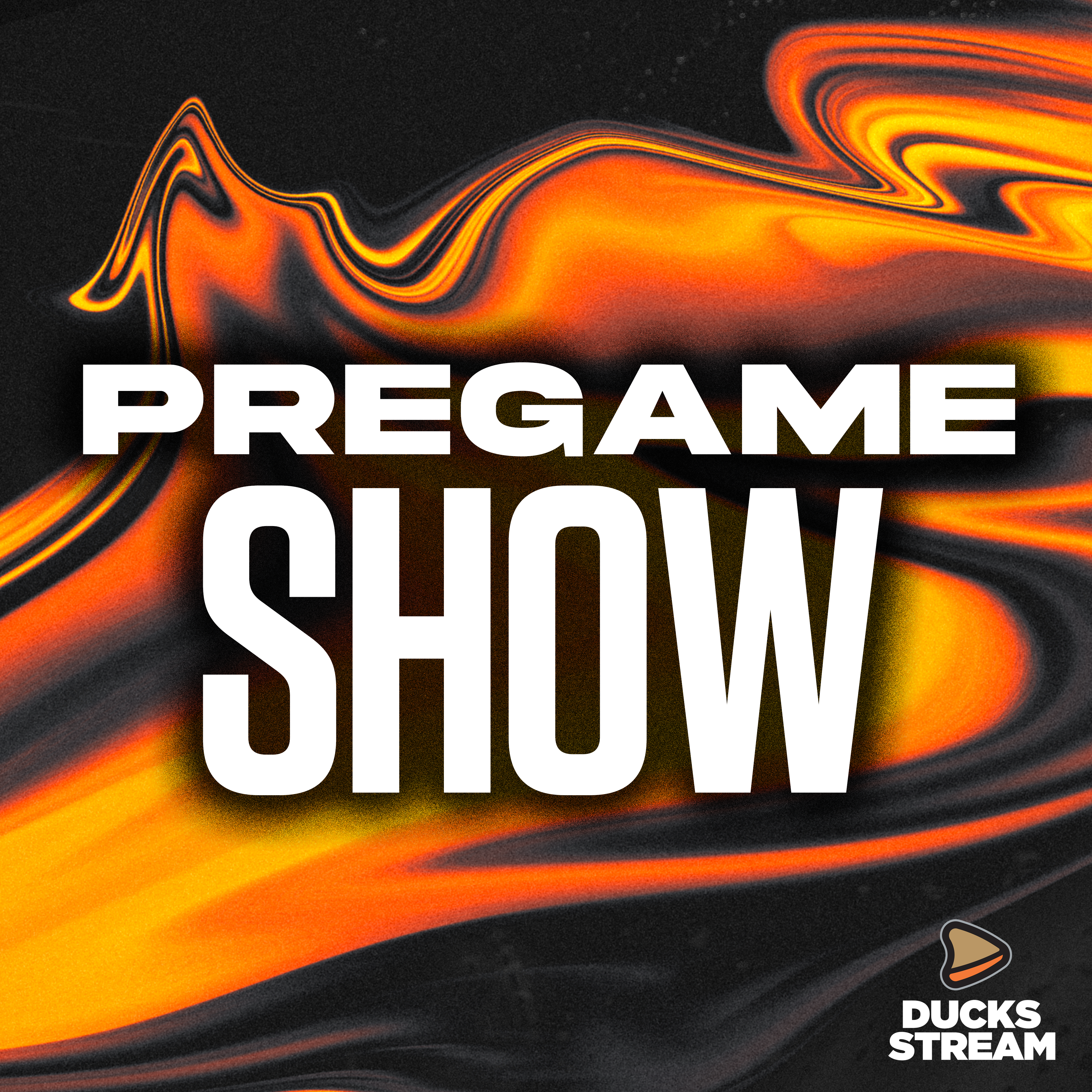 January 8th vs Boston Bruins episode artwork