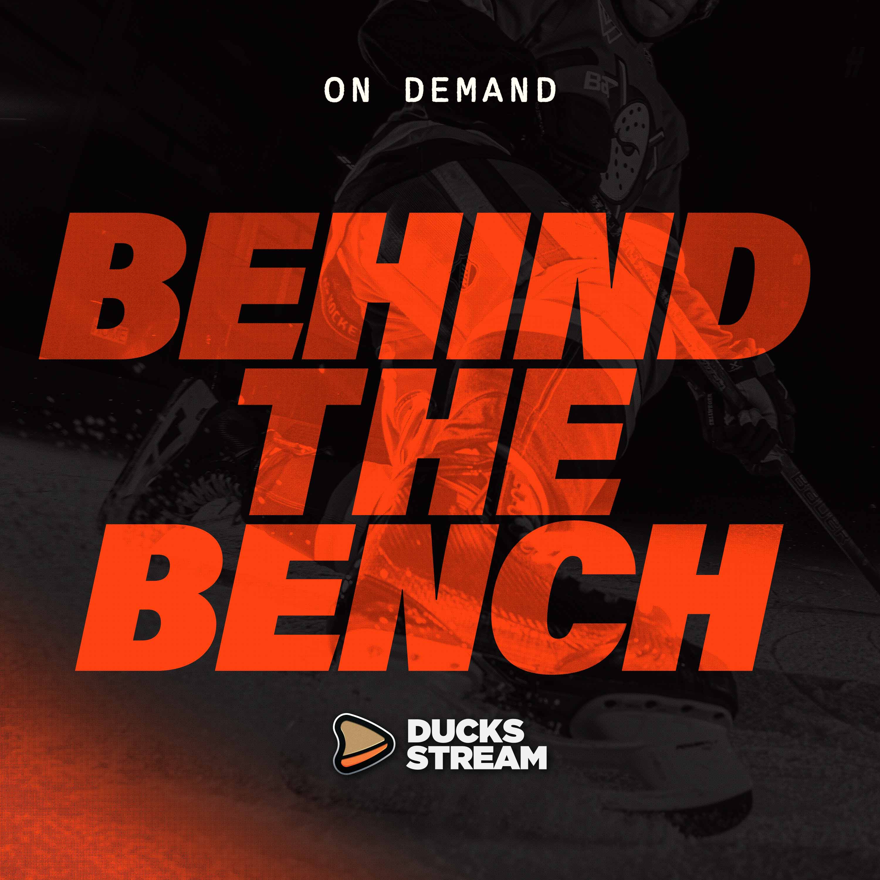 Behind the Bench
